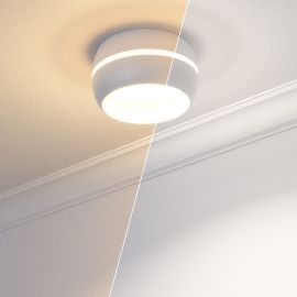 GX53 LED Leuchtmittel, warmweiß - weiß (2600 - 4000 K), 4,8 W, 531lm, 107°, Smart Home, WLAN, Alexa, matt