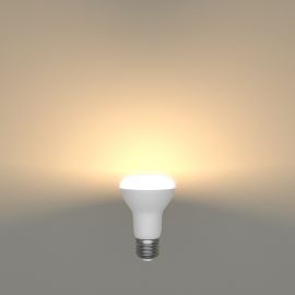 E27 LED Leuchtmittel, R63, warmweiß (2700 K), 8 W, 750lm, matt