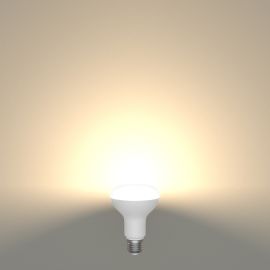 E27 LED Leuchtmittel, R80, 10 W, matt (Lichtfarbe wählbar)