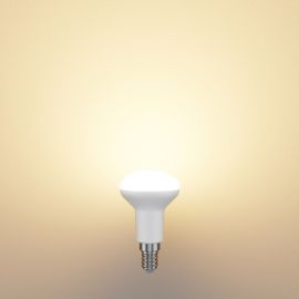 E14 LED Leuchtmittel, R50, 5,1 W, 112°, matt (Lichtfarbe wählbar)