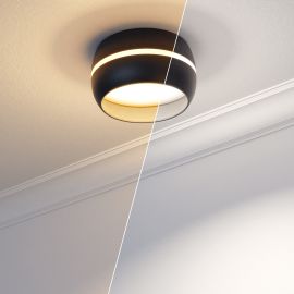 Deckenleuchte / Lampenfassung FUNT, 90mm Ø, inkl smarte LED, dimmbar 531lm Farbtemperatur steuerbar (Farbe wählbar)